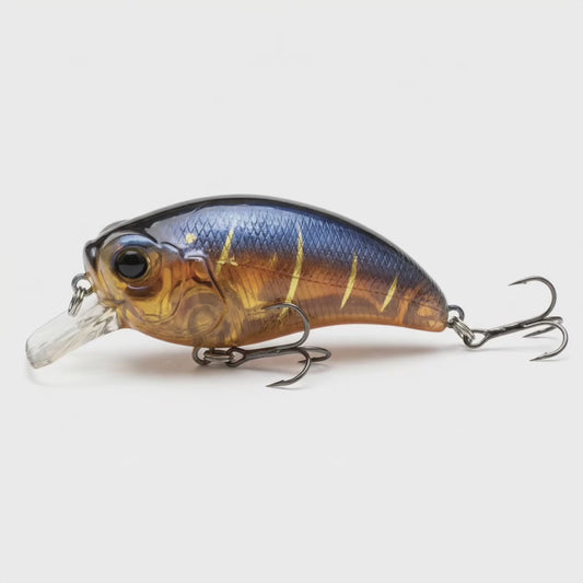 Spring Transition Bundle – Crankbait & Jerkbait Pack