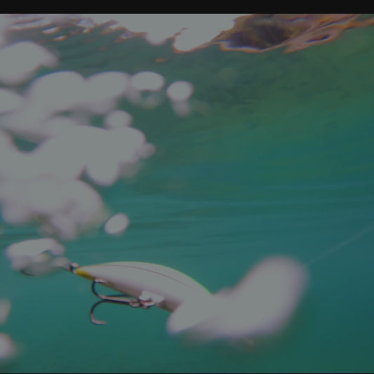 Premium X68 – Sinking Minnow Jerkbait